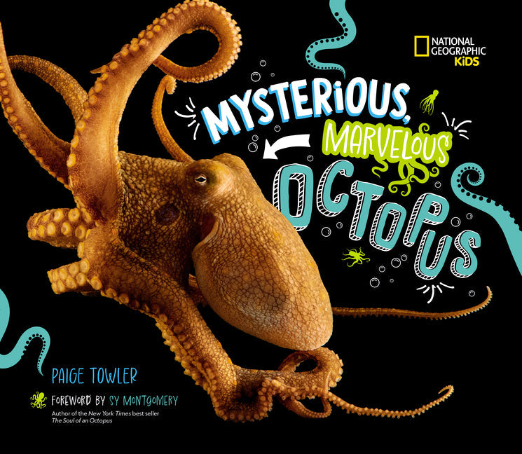 Mysterious, Marvelous Octopus! - Hardcover by Books by splitShops