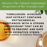 2 Pack Avocado Leaf Tea Natural by Avocado Tea Co.