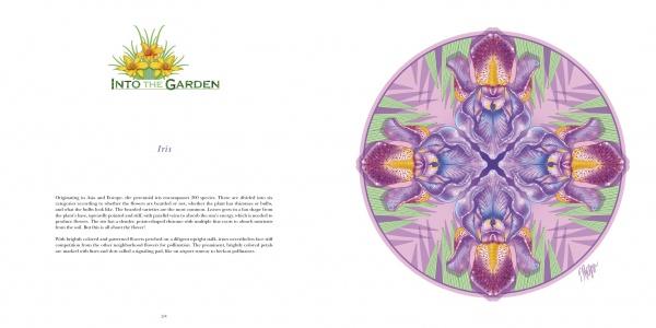 Nature Mandalas Wonders of the Garden by Schiffer Publishing