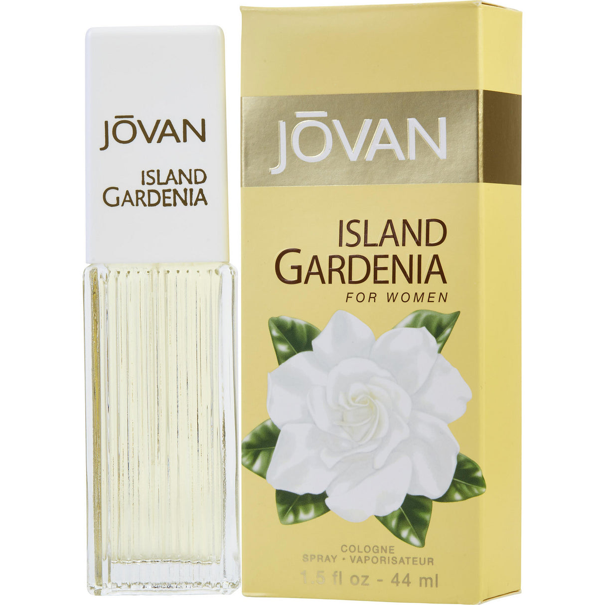 JOVAN ISLAND GARDENIA by Jovan - COLOGNE SPRAY 1.5 OZ - Women