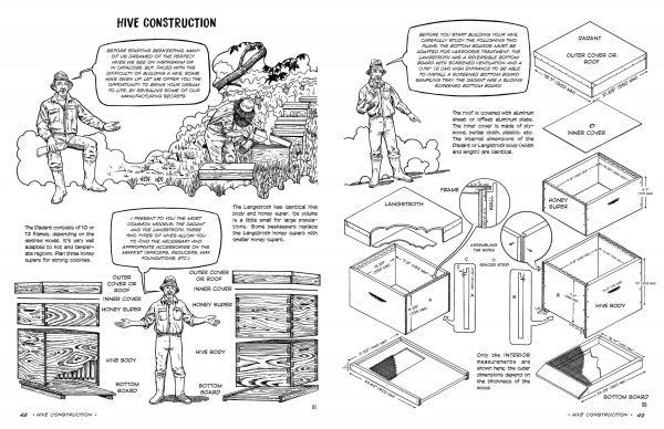 The Graphic Guide to Beekeeping by Schiffer Publishing