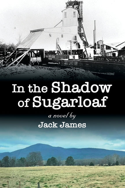 In The Shadow of Sugarloaf - Paperback by Books by splitShops