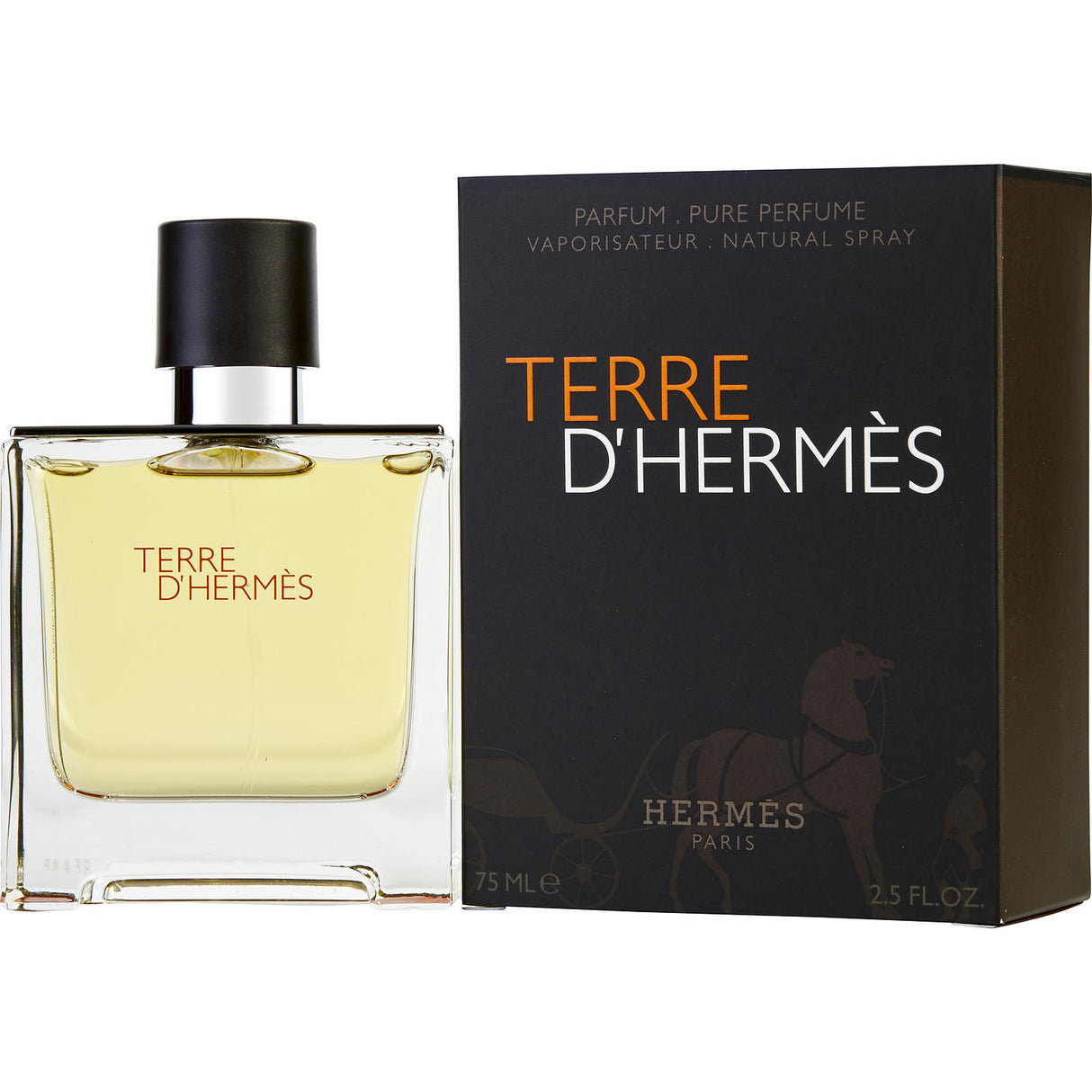 TERRE D'HERMES by Hermes - PARFUM SPRAY 2.5 OZ - Men