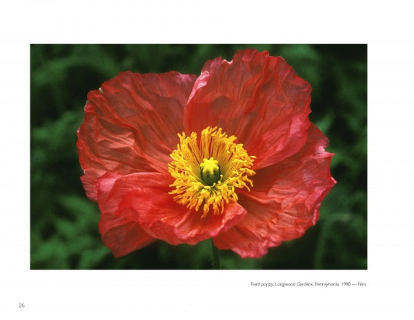 The Art of Flower Photography by Schiffer Publishing