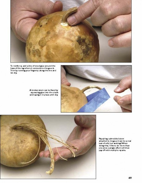 Gourd Art Basics by Schiffer Publishing