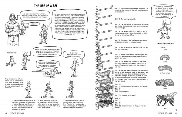 The Graphic Guide to Beekeeping by Schiffer Publishing