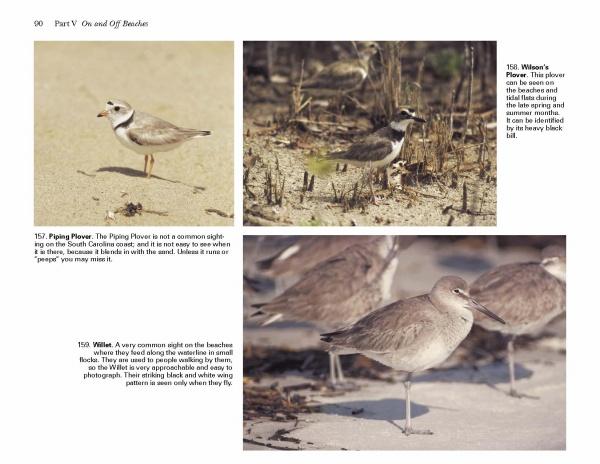 Birds of Coastal South Carolina by Schiffer Publishing