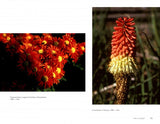 The Art of Flower Photography by Schiffer Publishing