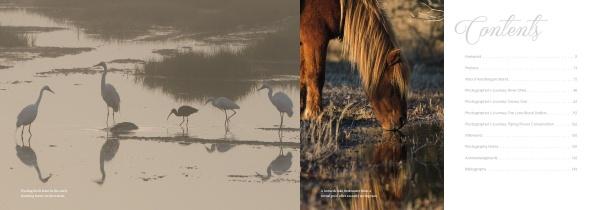 Natural Wonders of Assateague Island by Schiffer Publishing