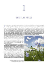 The Big Book of Flax by Schiffer Publishing