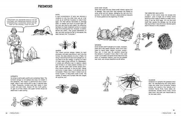 The Graphic Guide to Beekeeping by Schiffer Publishing