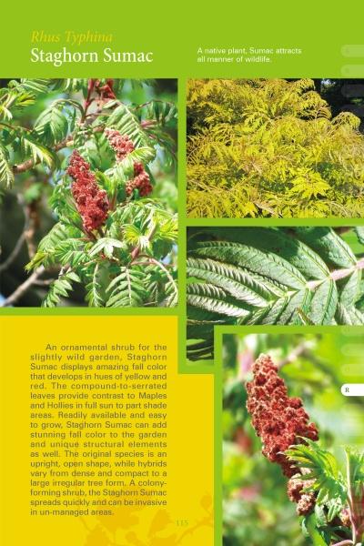 Coastal Garden Plants by Schiffer Publishing