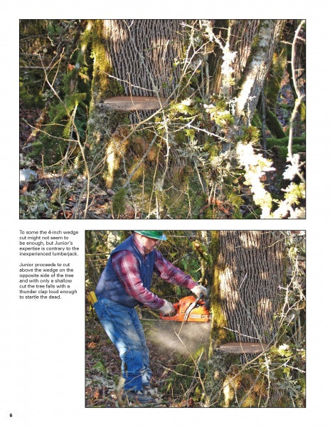 Wood Turning, from Tree to Table by Schiffer Publishing