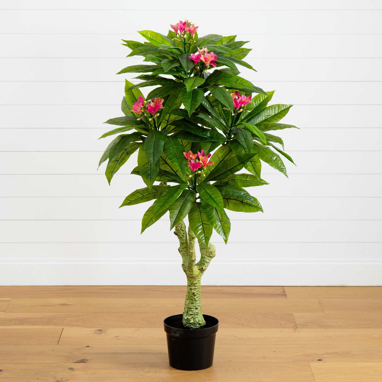 5' Plumeria Tree UV Resistant (Indoor/Outdoor) by Nearly Natural