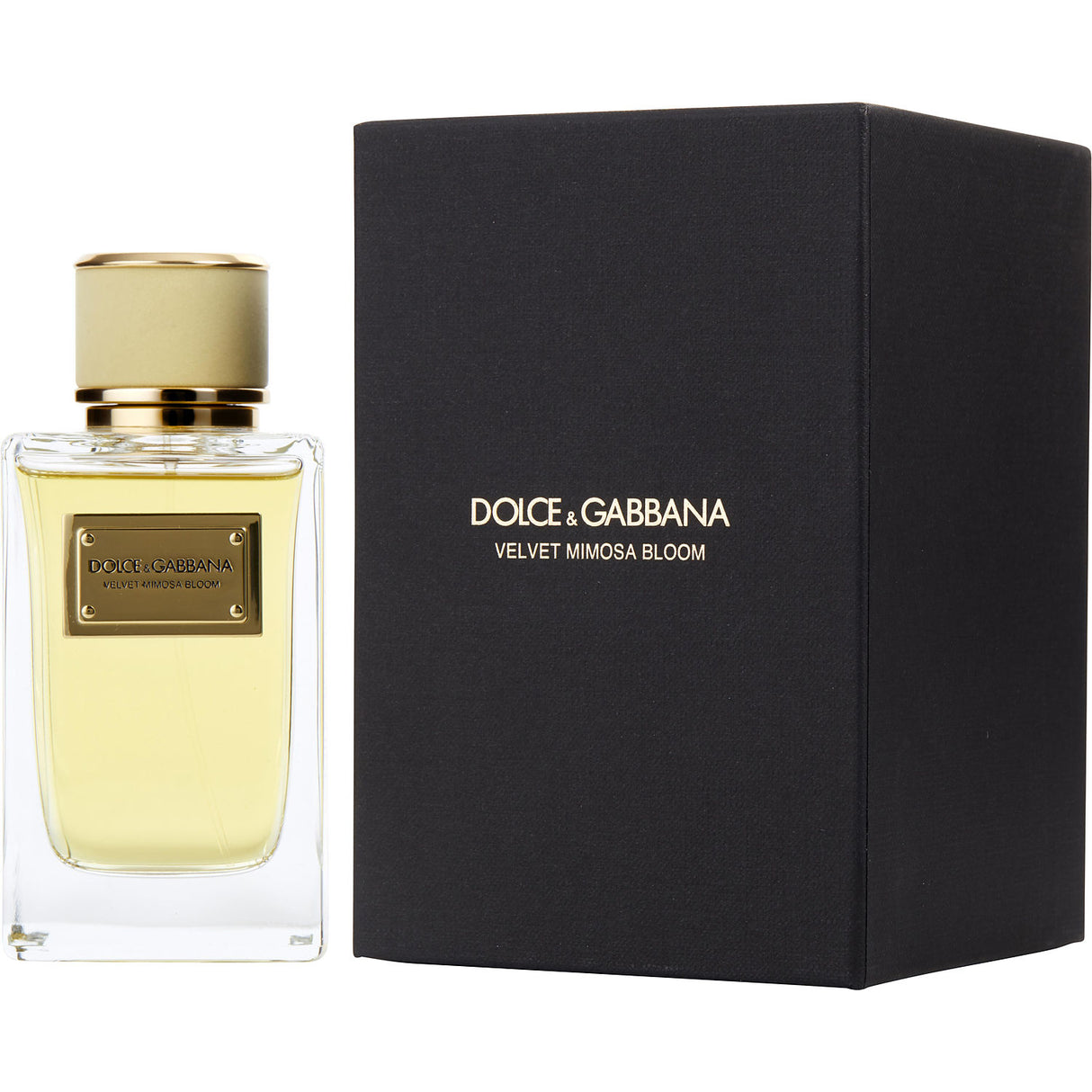 DOLCE & GABBANA VELVET MIMOSA BLOOM by Dolce & Gabbana - EAU DE PARFUM SPRAY 5 OZ - Women