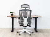 AeryChair Ergonomic Office Chair by EFFYDESK by Level Up Desks