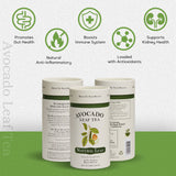 2 Pack Avocado Leaf Tea Natural by Avocado Tea Co.