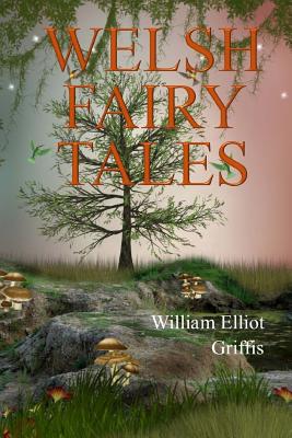 Welsh Fairy Tales - Paperback by Books by splitShops