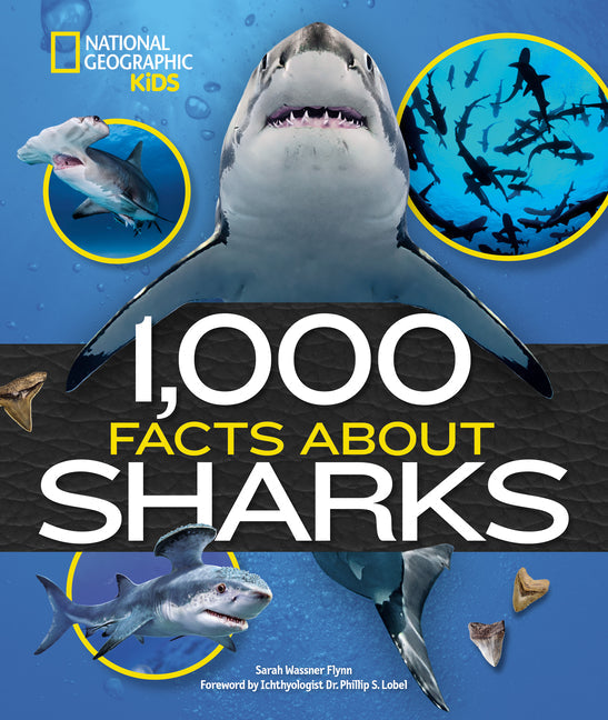 1,000 Facts about Sharks - Hardcover by Books by splitShops