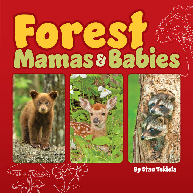 Forest Mamas & Babies - Board Book by Books by splitShops