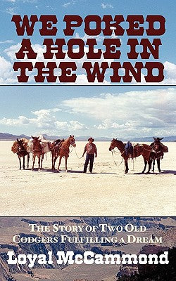 We Poked a Hole in the Wind - Paperback by Books by splitShops