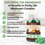 Premium Organic Mushroom Multi-Complex Gummies 5 in 1, Chaga, Lion's Mane, Reishi, Turkey Tail, Maitake by Live Unbound