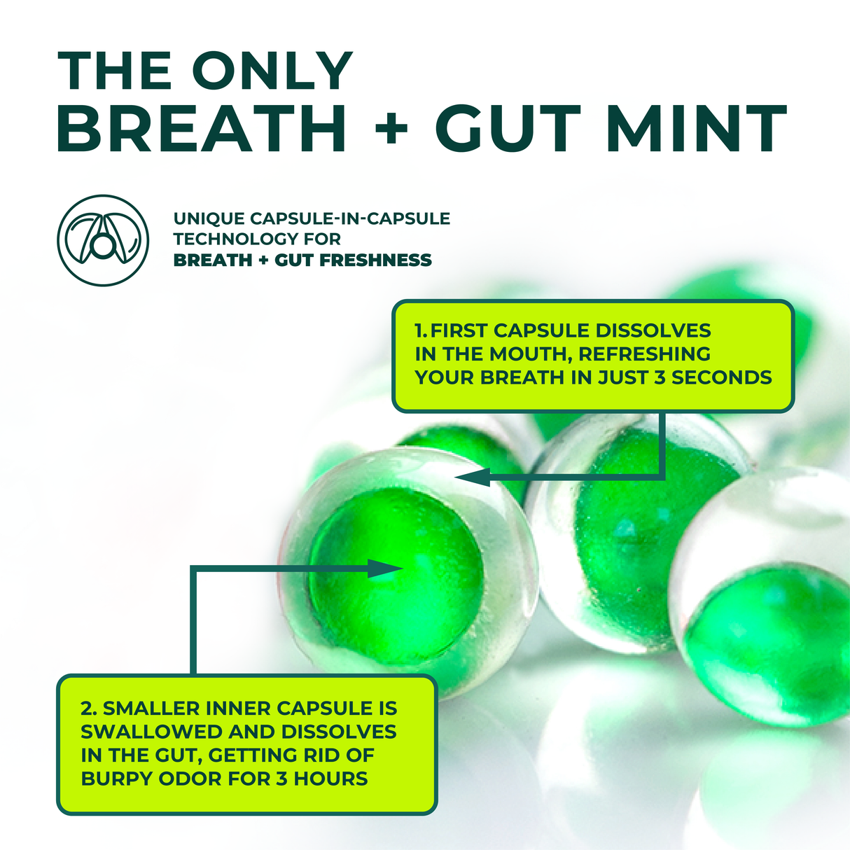 Breath + Gut Mints - Ice Shot (Peppermint Flavor) by NUDE MINTS