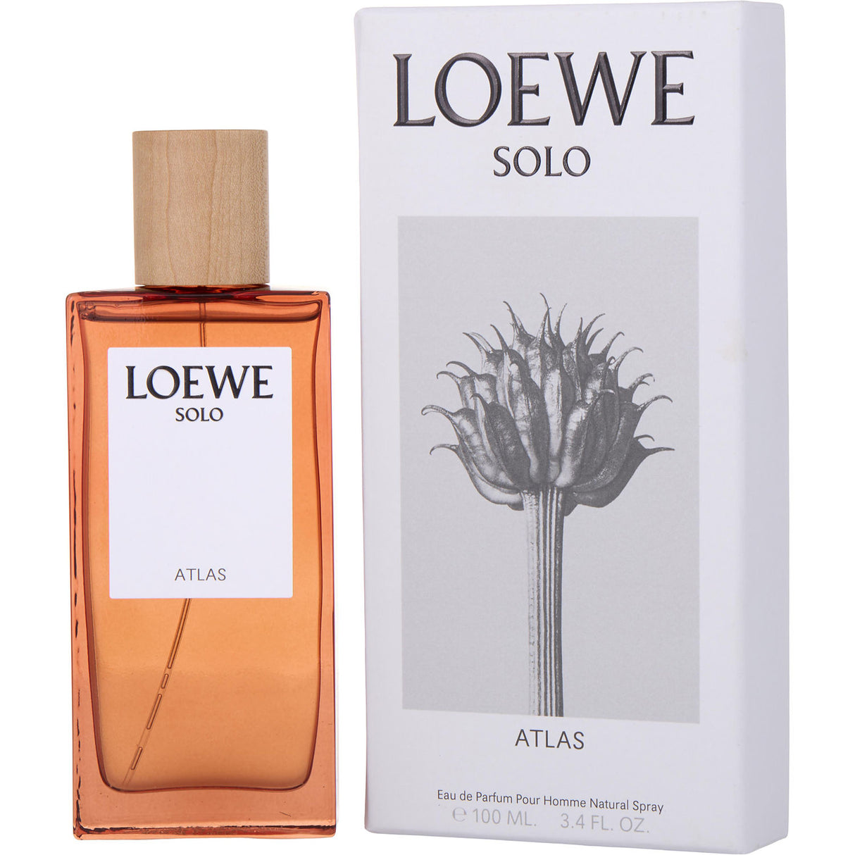 SOLO LOEWE ATLAS by Loewe - EAU DE PARFUM SPRAY 3.4 OZ - Men