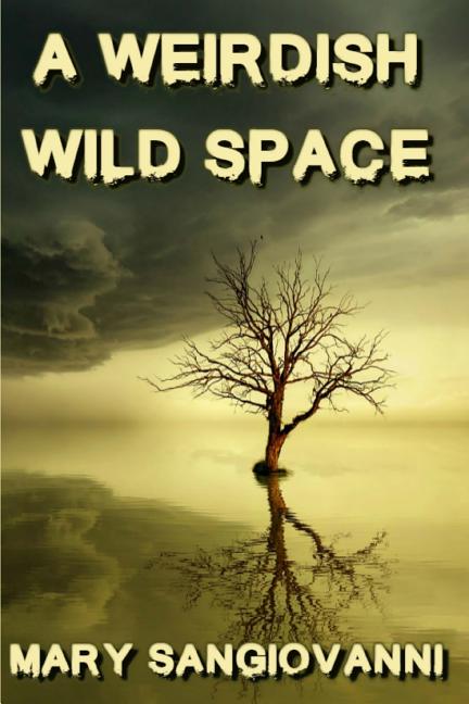 A Weirdish Wild Space - Paperback by Books by splitShops