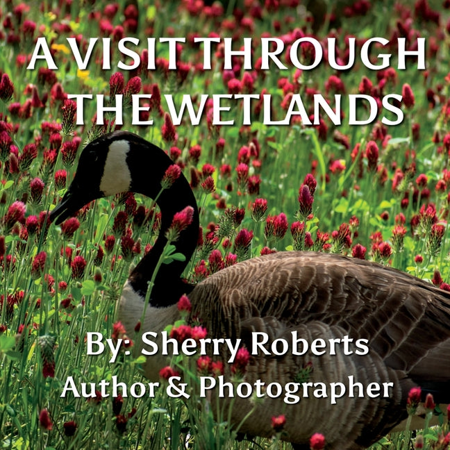 A Visit Through the Wetlands - Paperback by Books by splitShops