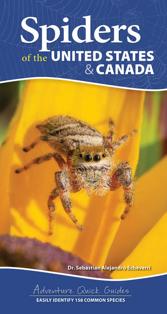 Spiders of the United States & Canada: Easily Identify 158 Common Species - Spiral by Books by splitShops