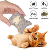 5Pc Cat Toys for Indoor Cats - 5PCS Plush Cat Chew Toys Teething Interactive Catnip Fi... by Js House