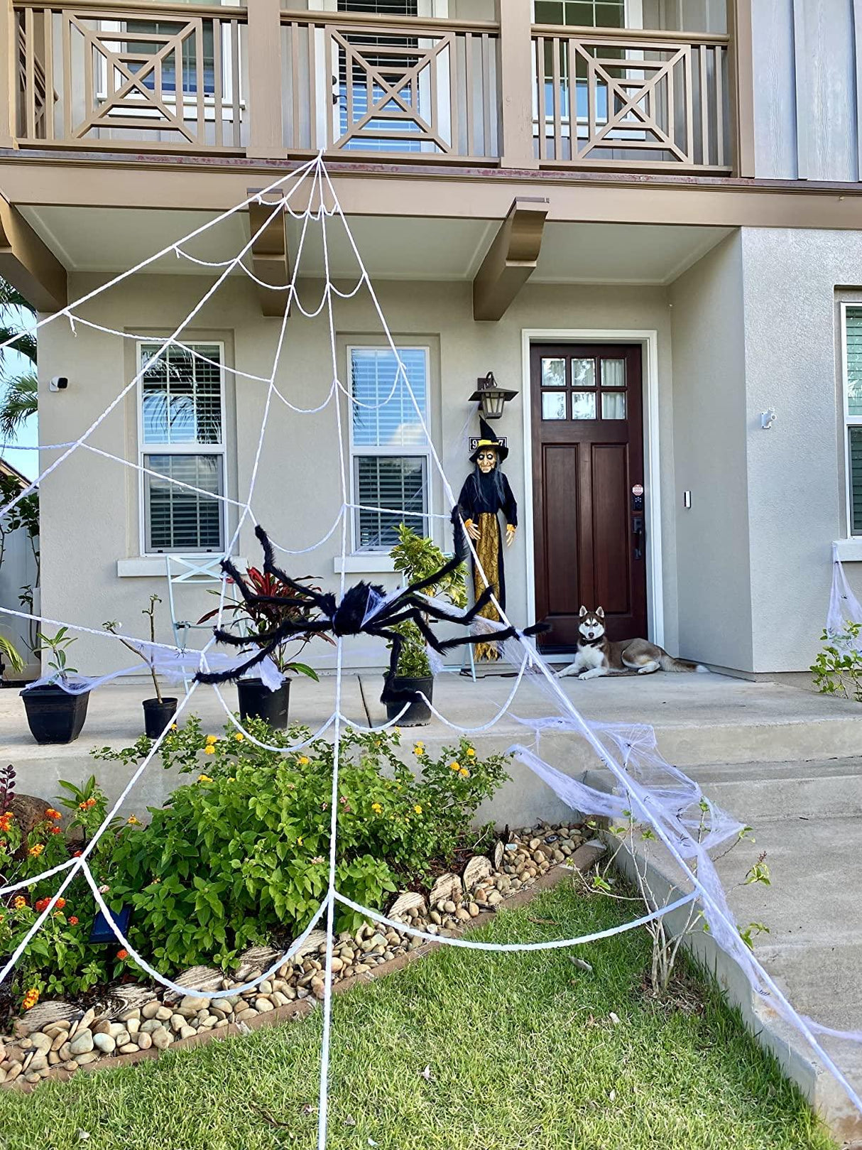 Giant Spider Web Set for Halloween Decorations Outdoor with 59" Large Spider 275" #ns23 _mkpt4 by Js House - Vysn