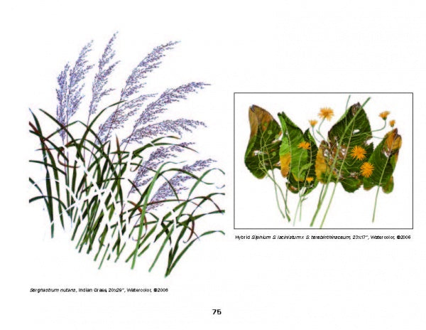 Today's Botanical Artists by Schiffer Publishing