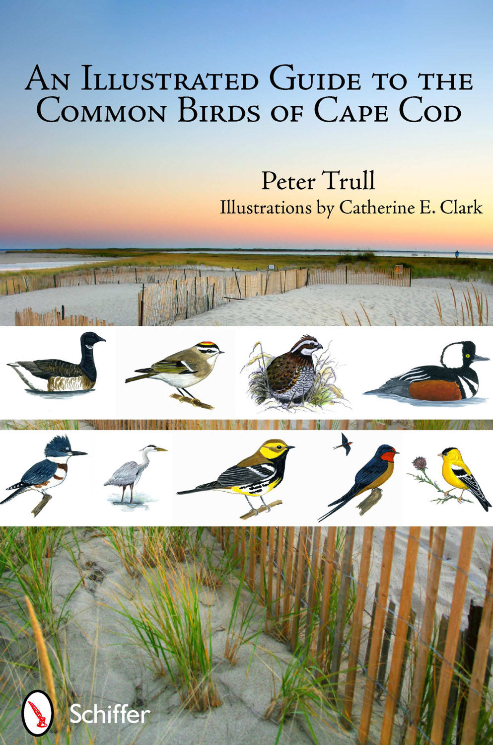 An Illustrated Guide to the Common Birds of Cape Cod by Schiffer Publishing