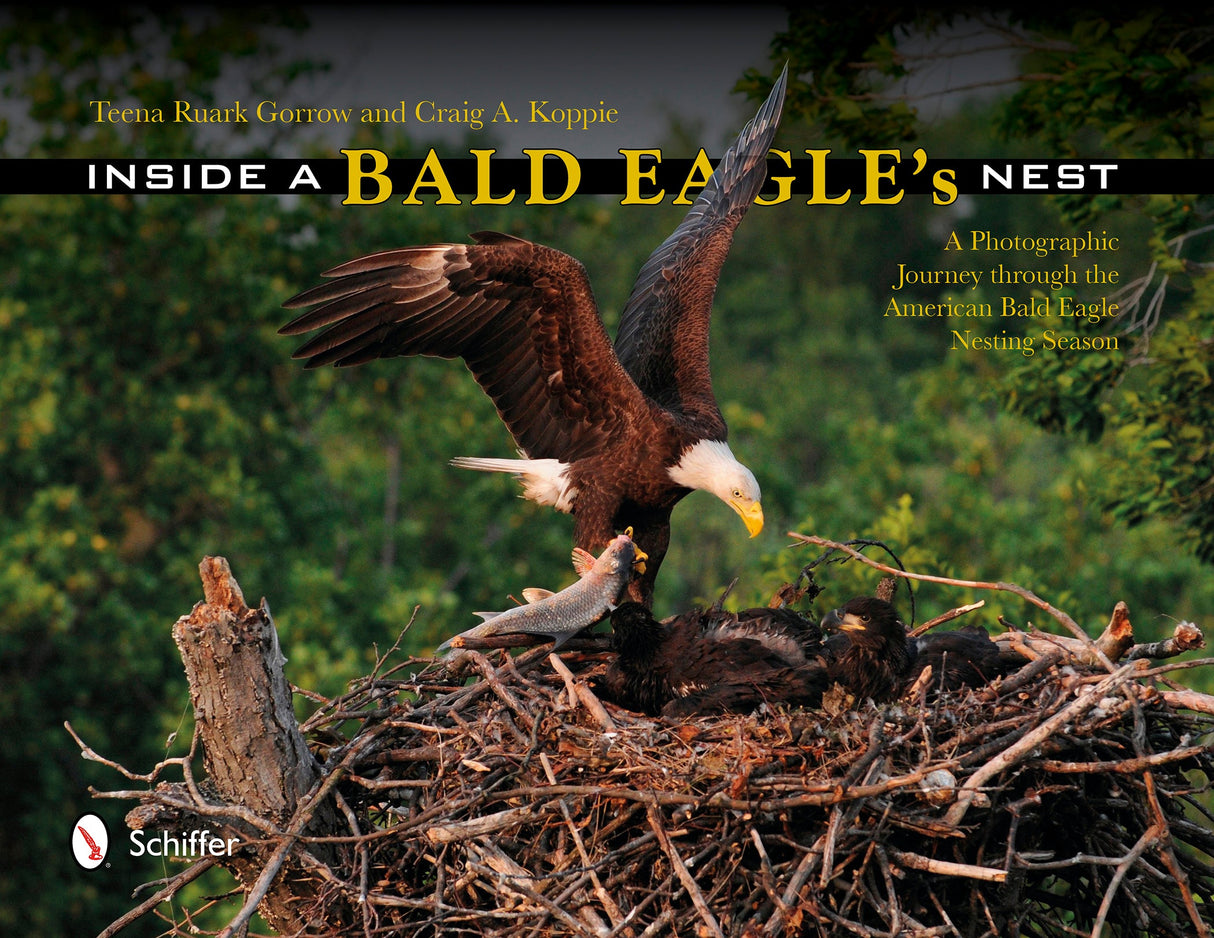 Inside a Bald Eagle's Nest by Schiffer Publishing