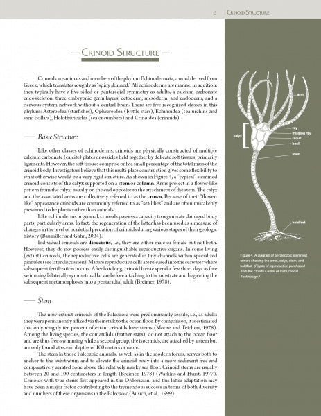 Collector's Guide to Crawfordsville Crinoids by Schiffer Publishing