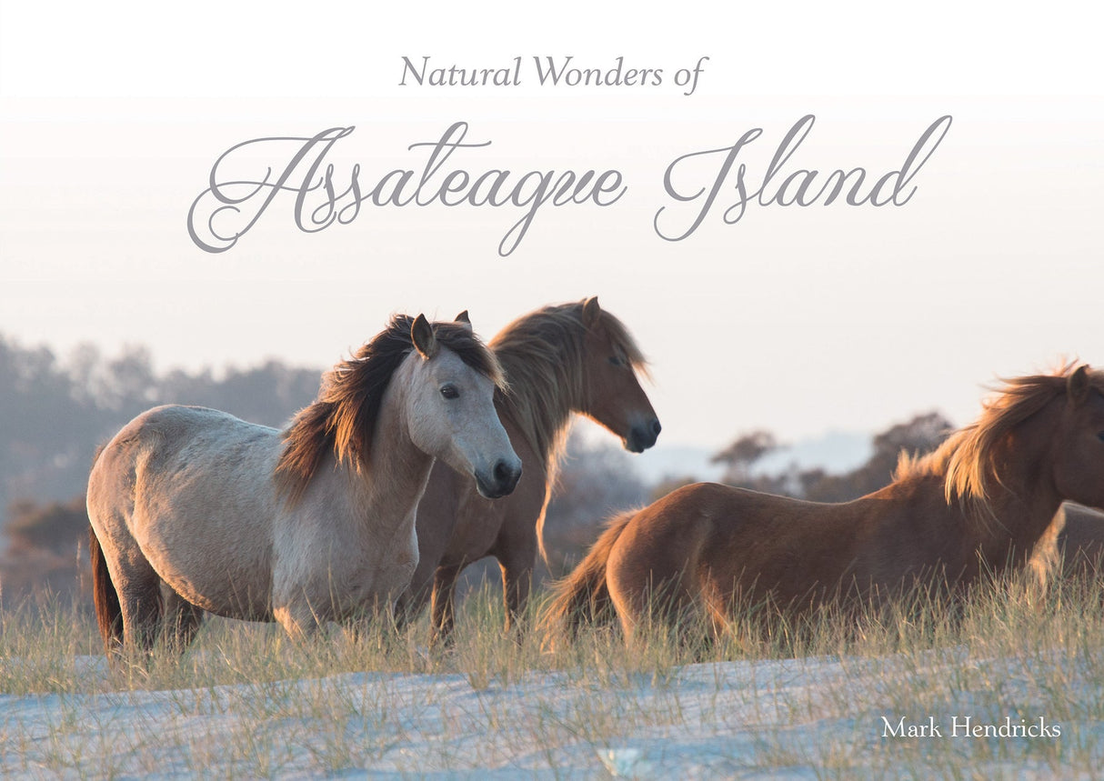 Natural Wonders of Assateague Island by Schiffer Publishing