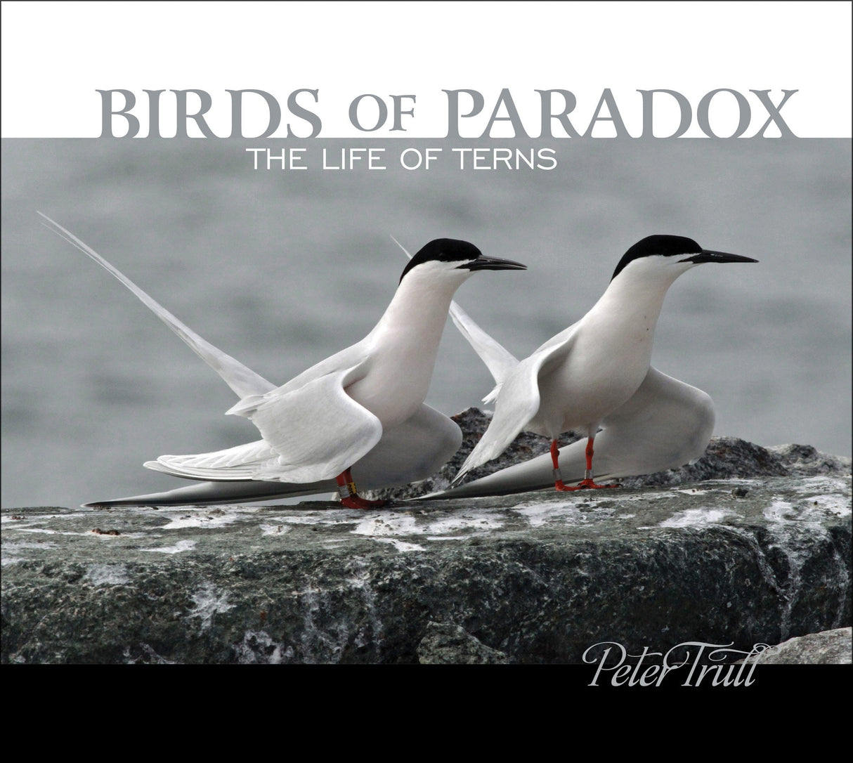 Birds of Paradox by Schiffer Publishing