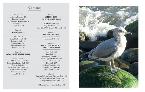 Gulls of North America by Schiffer Publishing