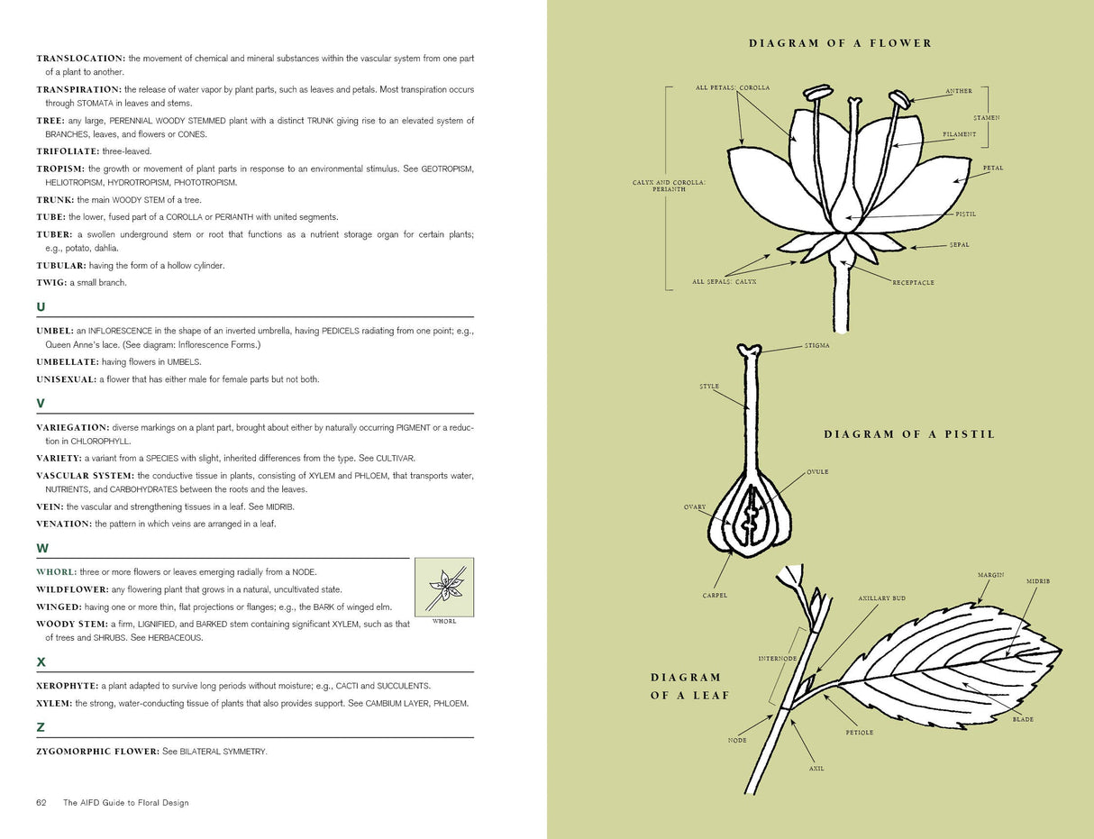 The AIFD Guide to Floral Design by Schiffer Publishing