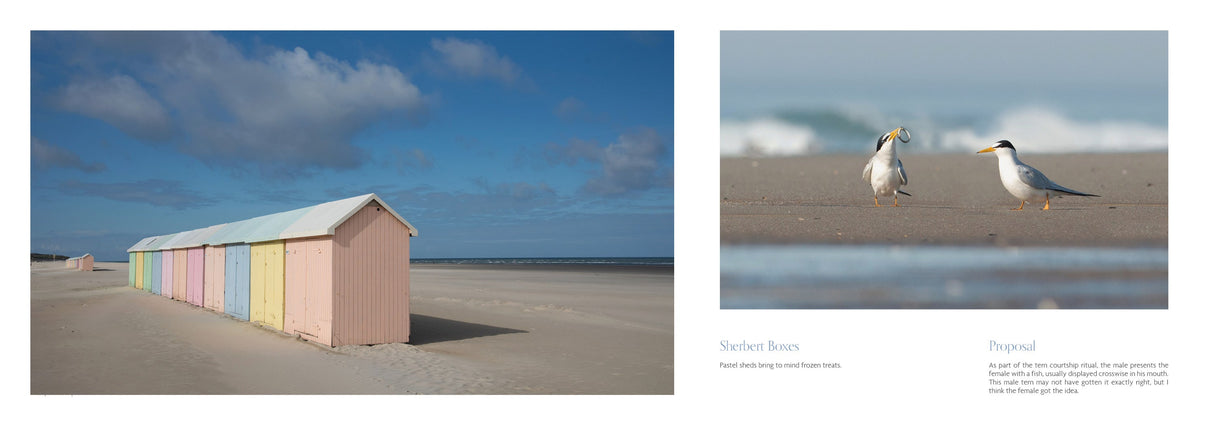 Beaches by Schiffer Publishing