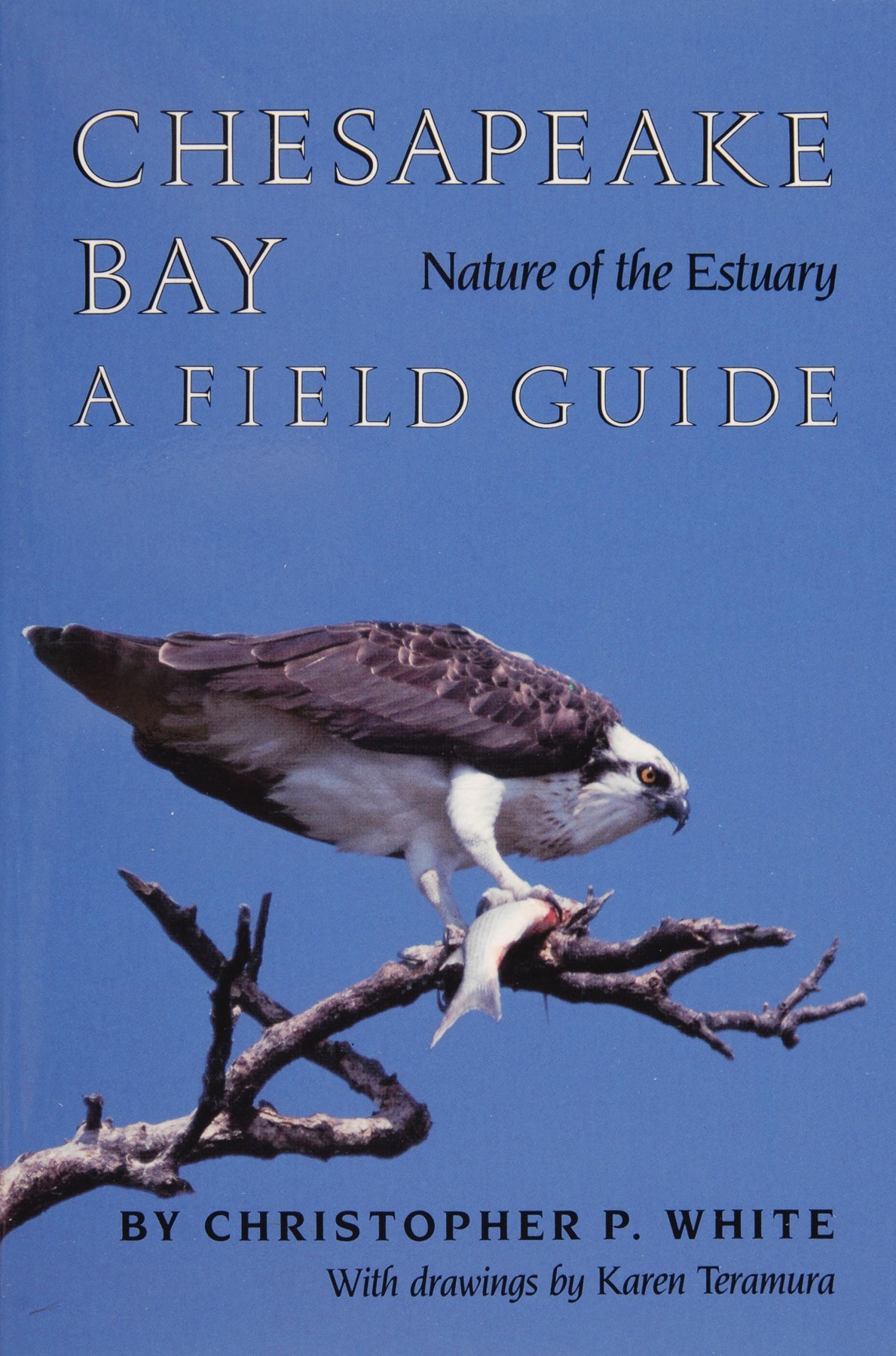 Chesapeake Bay Nature of the Estuary by Schiffer Publishing