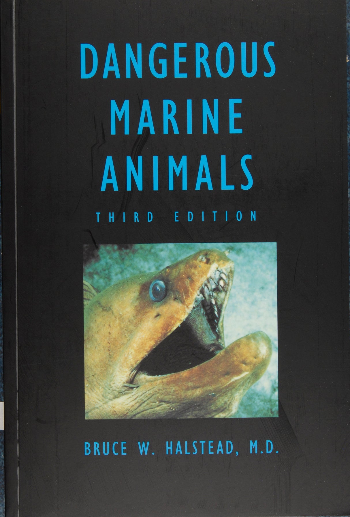 Dangerous Marine Animals That Bite, Sting, Shock, or Are Non-edible by Schiffer Publishing