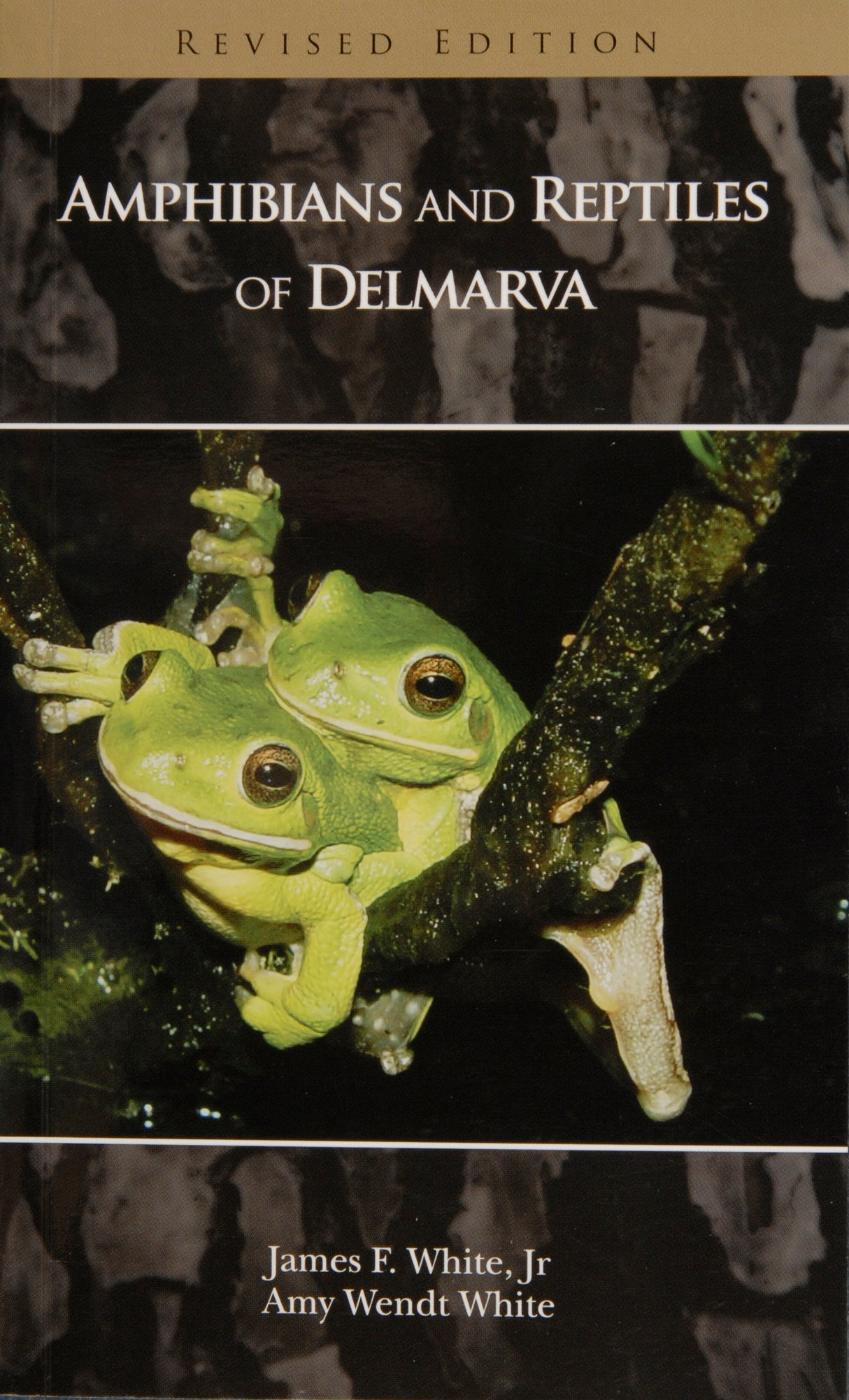 Amphibians and Reptiles of Delmarva by Schiffer Publishing