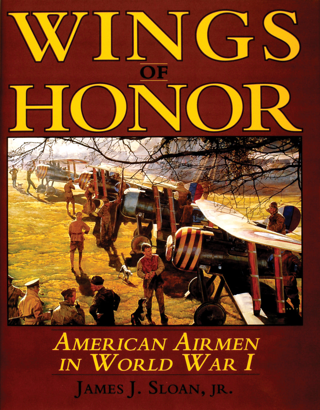 Wings of Honor by Schiffer Publishing