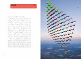 Odysseys in Extreme Sports: Skydiving by The Creative Company Shop