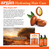 Difeel Argan Hydrating Shampoo 12 oz. by difeel - find your natural beauty