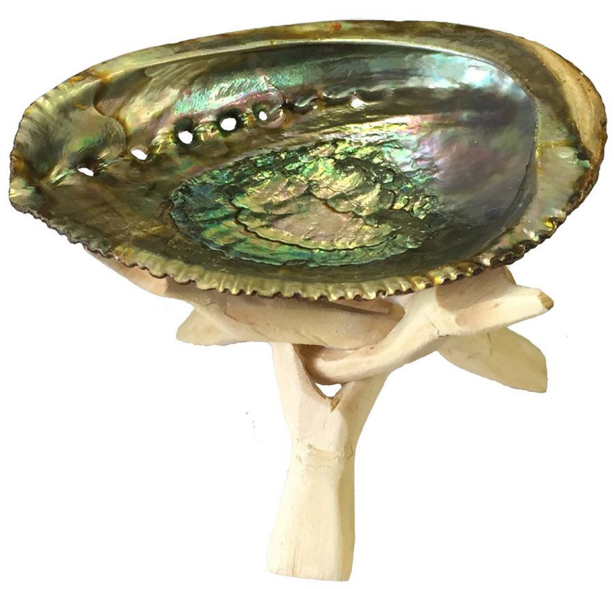 Abalone shell ash tray/ wooden Stand /  Sage by OMSutra