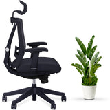 AeryChair Ergonomic Office Chair by EFFYDESK by Level Up Desks